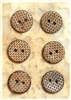 Carved Coconut Shell Buttons - 5/8" - Set of 6