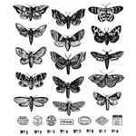 Stampers Anonymous Tim Holtz Stamp Set - Moth Study CMS436