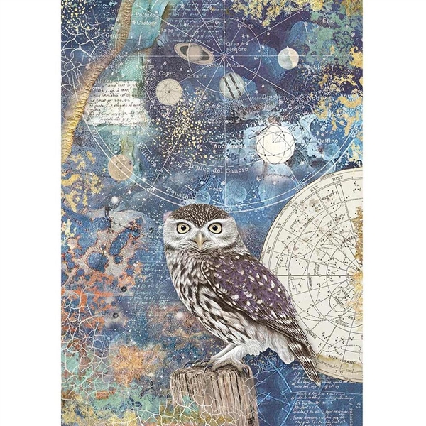 Stamperia - A4 Rice Paper Sheet - Cosmos Owl DFSA4389