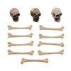 Tim Holtz Idea-ology Skulls & Bones TH94339