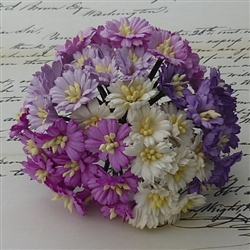 Mixed Purple/White Cosmos Daisy Stem Flowers SAA-149