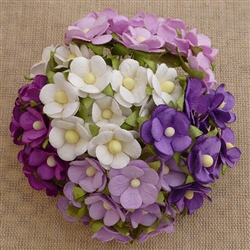 Mixed Purple/Lilac and White Sweetheart Blossom Flowers SAA-333