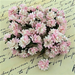 2-Tone Baby Pink Mulberry Paper Aster Daisy Stem Flowers SAA-380