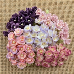 Miniature Mixed Purple/Lilac Sweetheart Blossom Flowers SAA-443